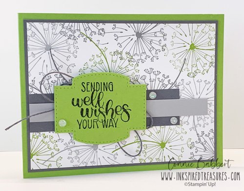 IM171 - Dandelion Wishes