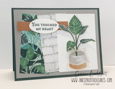 CCMC668 Plentiful Plants