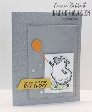 CCMC675 Counting Sheep