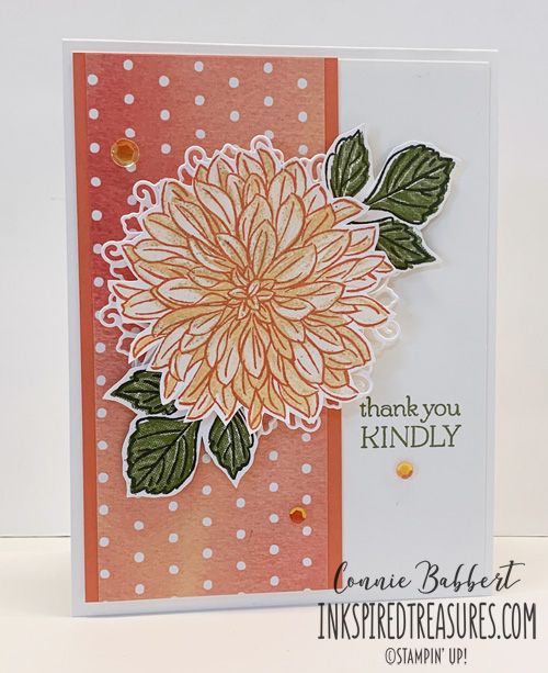 IM190 Delicate Dahlias