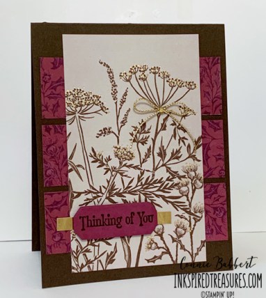 CCMC681 Quiet Meadow