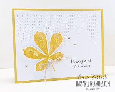 CS8 - Love of Leaves