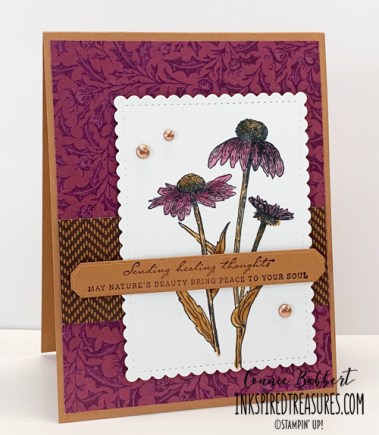 CCMC692 Nature's Harvest