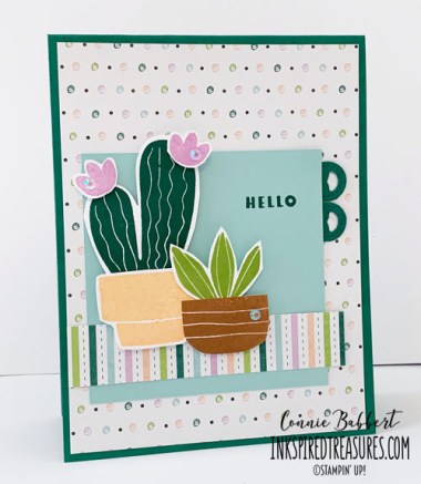 CCMC703 Cactus Cuties