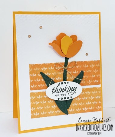 CCMC706 Flowering Tulips