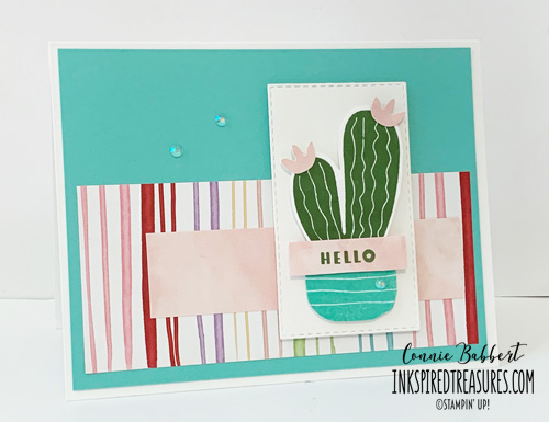 CS27 - Cactus Cuties