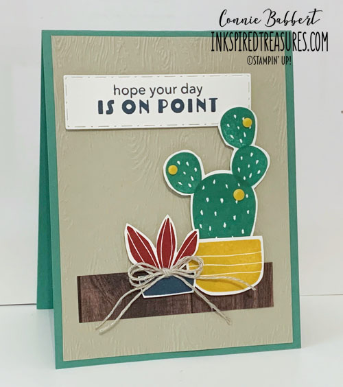 CS29 - Cactus Cuties