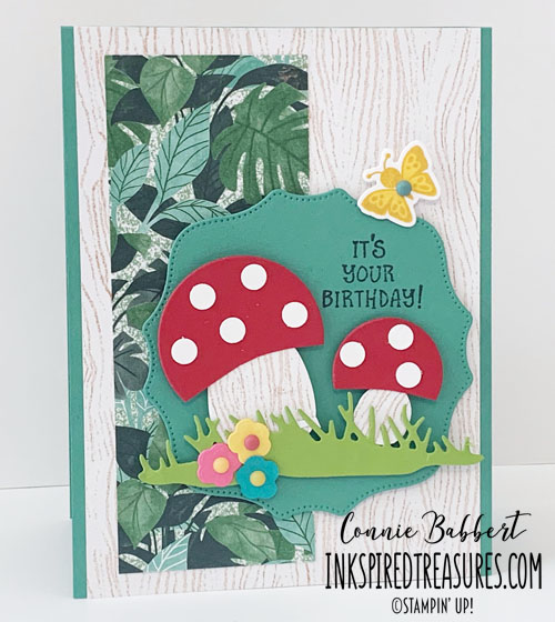 IM221 Hippo Happiness