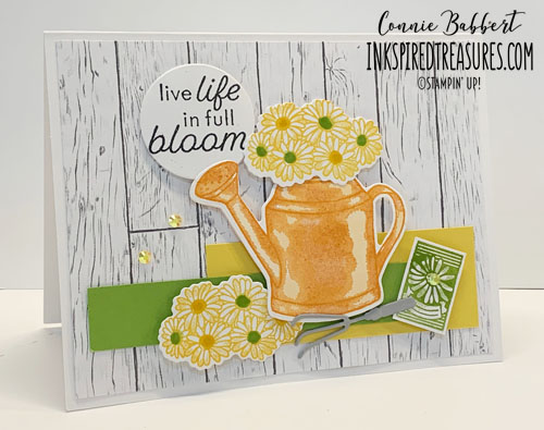 IM223 Flowering Rainboots