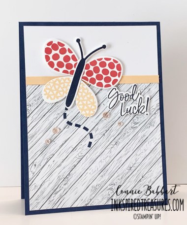 CCMC720 Best Butterflies