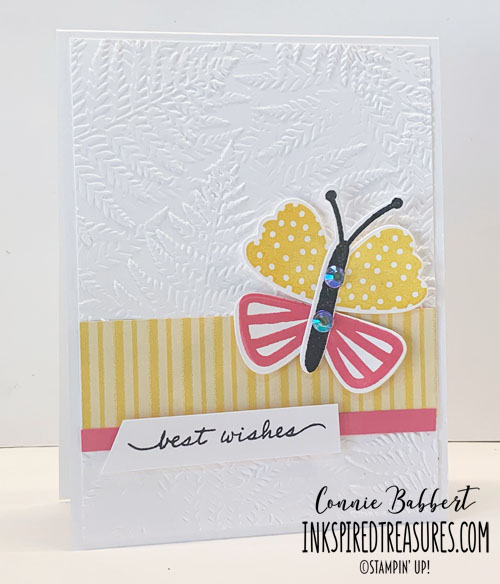 CS47 - Best Butterflies