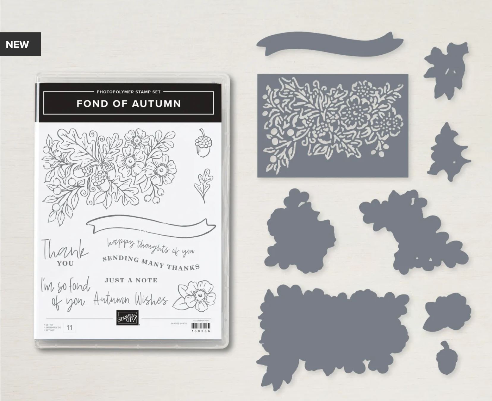 Fond of Autumn photo