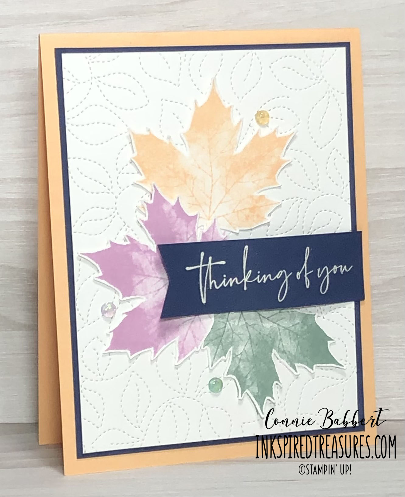 IM242 - Sof Seedlings