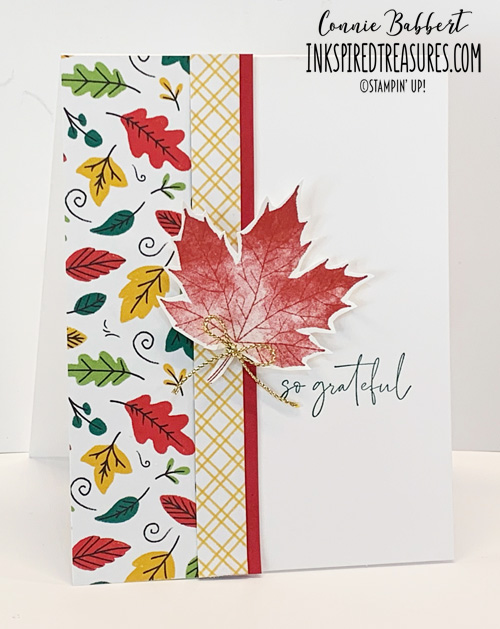 CS58 - Soft Seedlings