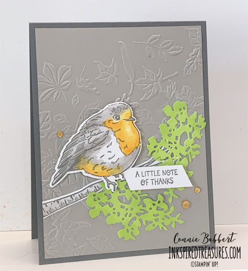 CS81 - Perched in a Tree